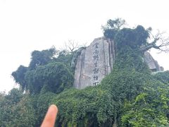 -云南野生动物园
