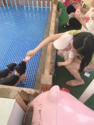 -萌宠亲子动物乐园(槐房万达店)