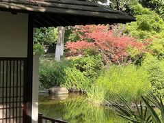 -新洲生态园