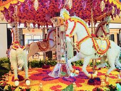 -拉斯维加斯永利酒店