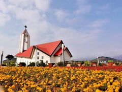 -西海岸生态观光园