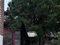 -建水文庙