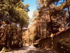 -沃阁巴厘原墅餐厅