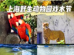 -上海野生动物园