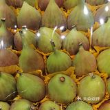 无花果，在我们老家庭院里家家都会栽一棵