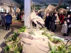 -自贡恐龙博物馆