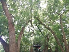 -蒋氏故居