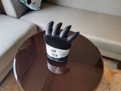 -成都保利公园皇冠假日酒店(熊猫基地店)