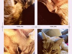 -脉冲品质汽美·贴膜(闵行店)