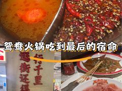 -红九格老火锅(三峡广场店)