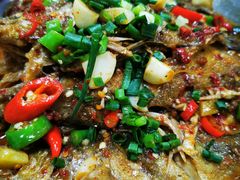 干烧小黄鱼-龙小海荆沙鸽子店(瑞安街店)