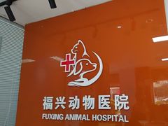 -瑞派福兴宠物医院犬猫全科·骨科·中西医结合(河东店)