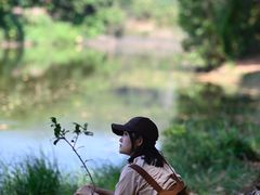 -大屏嶂森林公园