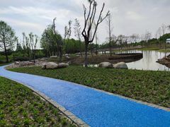 -梁鸿国家湿地公园