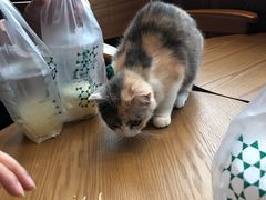 -凯德广场(武胜路店)