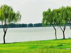 -漕湖湿地公园
