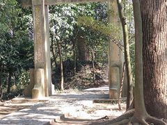 -上海佘山国家森林公园天马山园