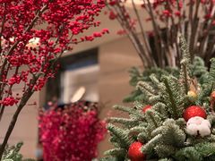 -LONG BAR 廊吧(外滩华尔道夫酒店)