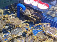 -将相和·海鲜蒸饺大连菜