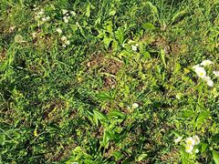 -白塘生态植物园
