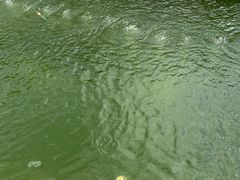 -DGE季风钓虾营地·团建·聚会