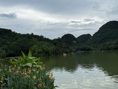 -柳侯公园