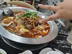 -古乐牛香·鲜牛肉牛杂火锅(高新店)