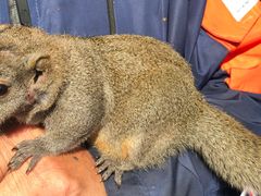 -西湖外事游船(湖滨二公园外事游船码头)