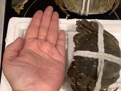 蟹后-黄记大闸蟹专卖店·活蟹·醉蟹