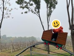 -圣露庄园·亲子活动乐园·露营·团建婚礼