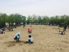 -东郊湿地公园