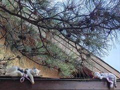 -云峰山自然风景区