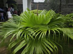 -梁启超故居纪念馆