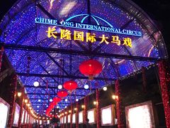 -广州长隆国际大马戏
