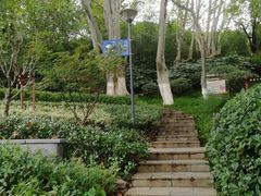 -菊花台公园