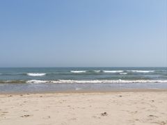 -日照海滨国家森林公园
