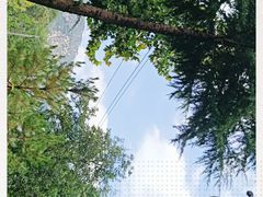 -中原农家乐(中原饭店)