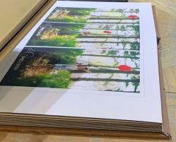 -TIME儿童摄影(闽江路店)