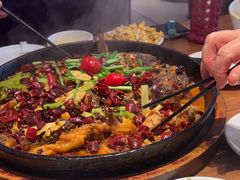 -老板恋上鱼(恒隆广场店)