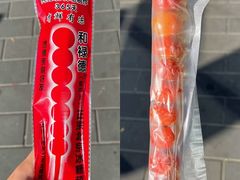 -和禄德冰糖葫芦