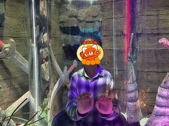 -沈阳海洋探索中心