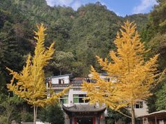 -途中饭店(开化店)