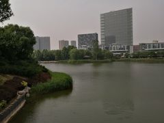 -大兴滨河森林公园