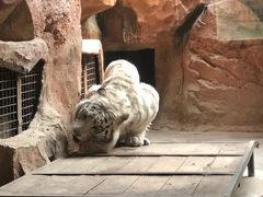 -鄂尔多斯野生动物园