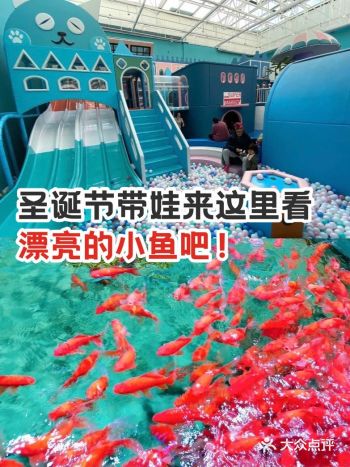 圣诞节带娃来这里看漂亮的小鱼吧！