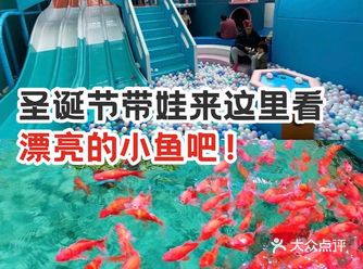 圣诞节带娃来这里看漂亮的小鱼吧！
