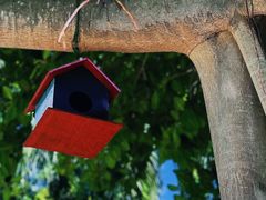 -三亚海棠湾万丽度假酒店