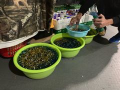 -319集结地真人CS·团建·轰趴体验馆·室内(上地店)
