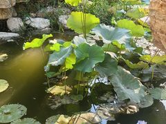 -莲池书院博物馆
