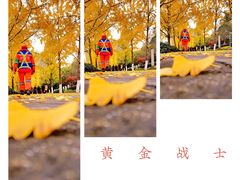 -高庙村(地铁站)